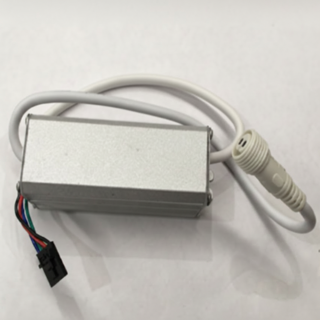 Rising Dragon Spa Light Controller 4-Wire to 2-Wire Adapter | 1ZWQ00-00TL