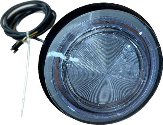 Light Assembly main 36 lamps with lead Catalina / Silver 110mm / 4.25"