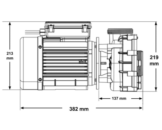 Gecko Maelstrom Pump 4.2HP 1SP 50Hz 3m Lead Amp Plug-(0800-200000)