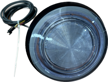 Light Assembly main 36 lamps with lead Catalina / Silver 110mm / 4.25"