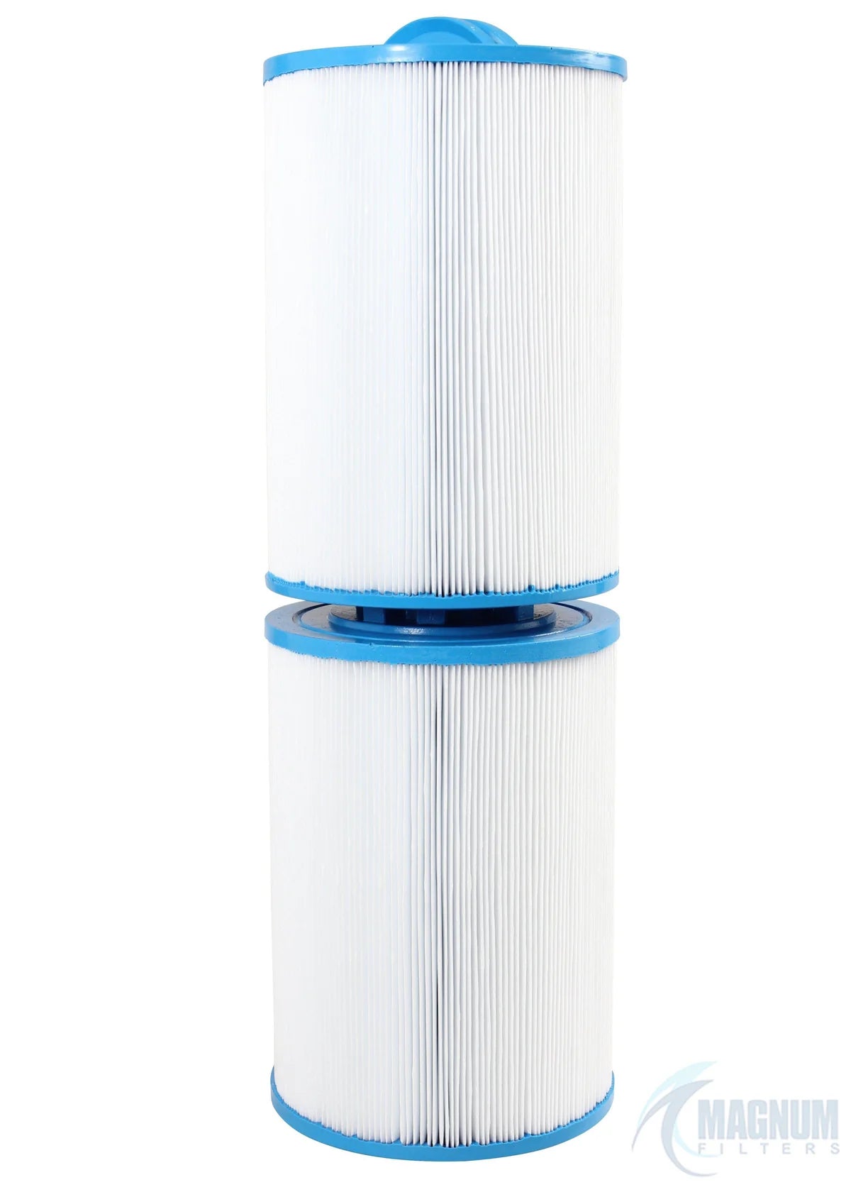 LeisureRite Waterway Cƒ??100 spa filter cartridges set of two for spa water filtration